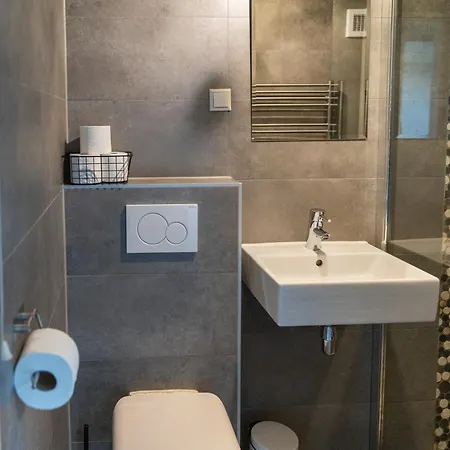 Dom wakacyjny Park Westerweide 8 *